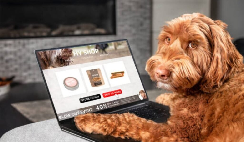 What Google’s AI Overview Says About SEO Visibility Score